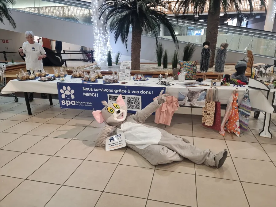 Stand à la Coop des Entilles